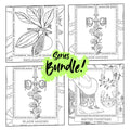 SPECTRUM INK: SERIES 2 BUNDLE